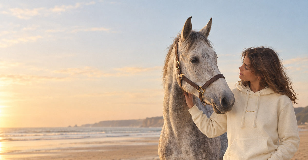 Cavalière en sweat heaven. crème à côté de son cheval gris sur une plage au coucher du soleil